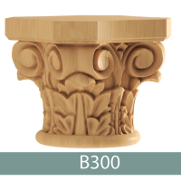 سرستون کامل منبت-کدB300